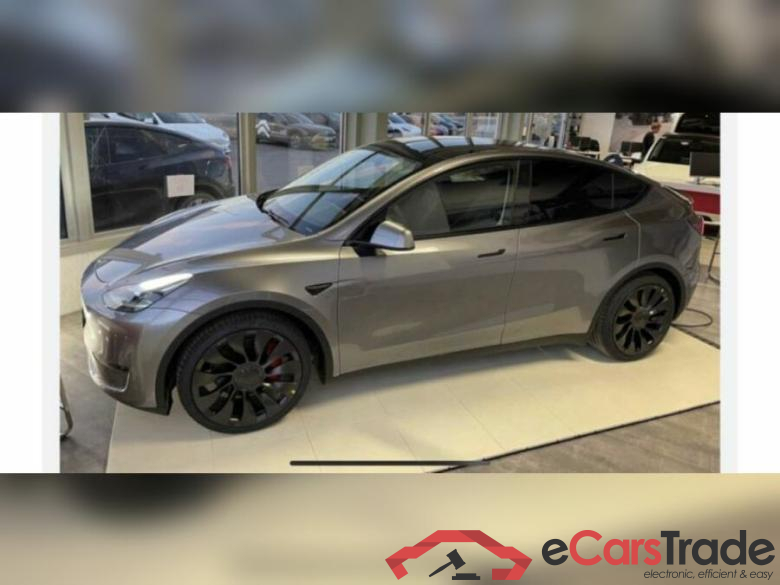 Tesla  Model Y Performance