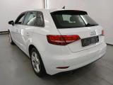 AUDI A3 1.6 TDi Business Edition S tronic #3