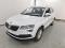 preview Skoda Karoq #0