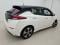 preview Nissan Leaf #1