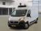 preview Fiat Ducato #0