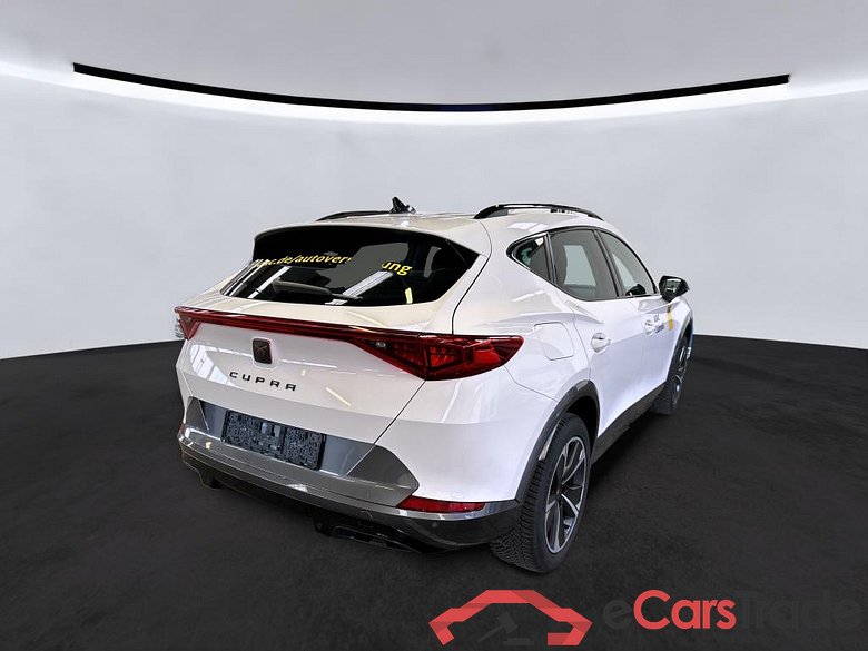 Cupra Basis Formentor #2