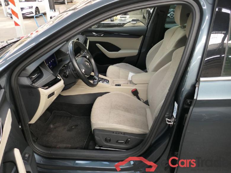 Octavia Combi First Edition 2.0 TDI 110KW AT7 E6dT #4