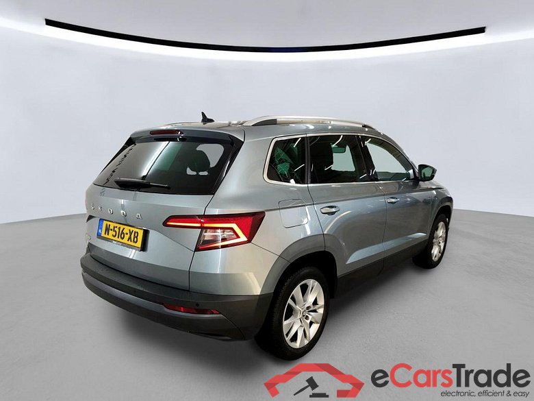 SKODA Karoq 110 kW #6