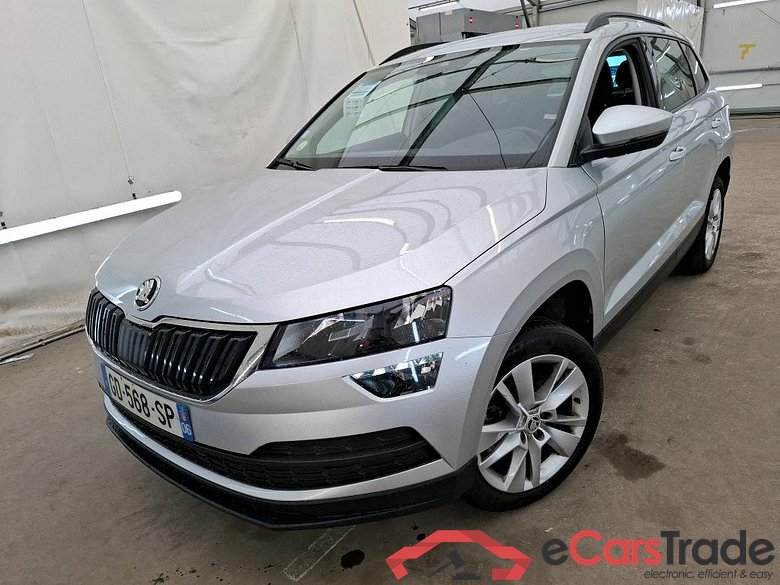 Karoq Business 2.0 TDI 150CV BVM6 E6d