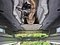 preview Skoda Octavia #4