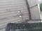 preview Opel Astra #2